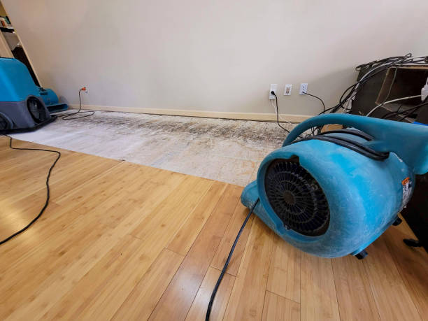 Professional Basement Flood Cleanup technician working in Luray, TN